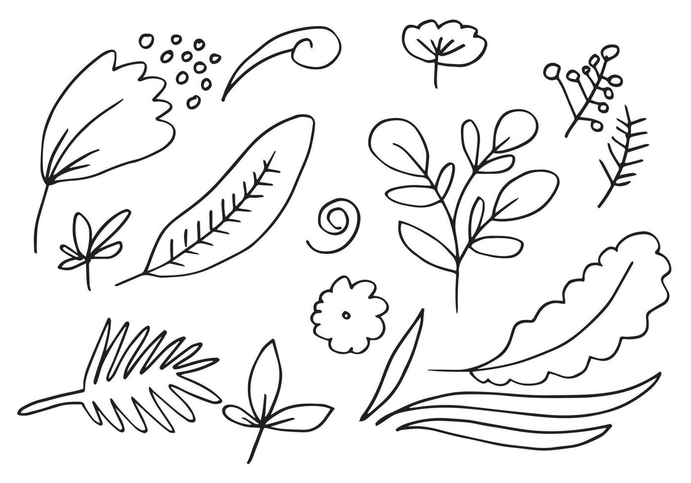 una colección de imágenes de flores dibujadas a mano, como campanillas, crisantemos, girasoles, flores de algodón y hojas tropicales vector