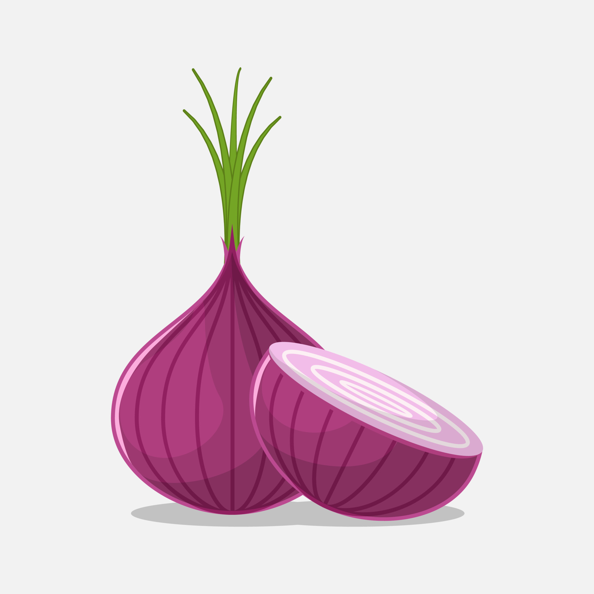 onion vector illustration 10140454 Vector Art at Vecteezy