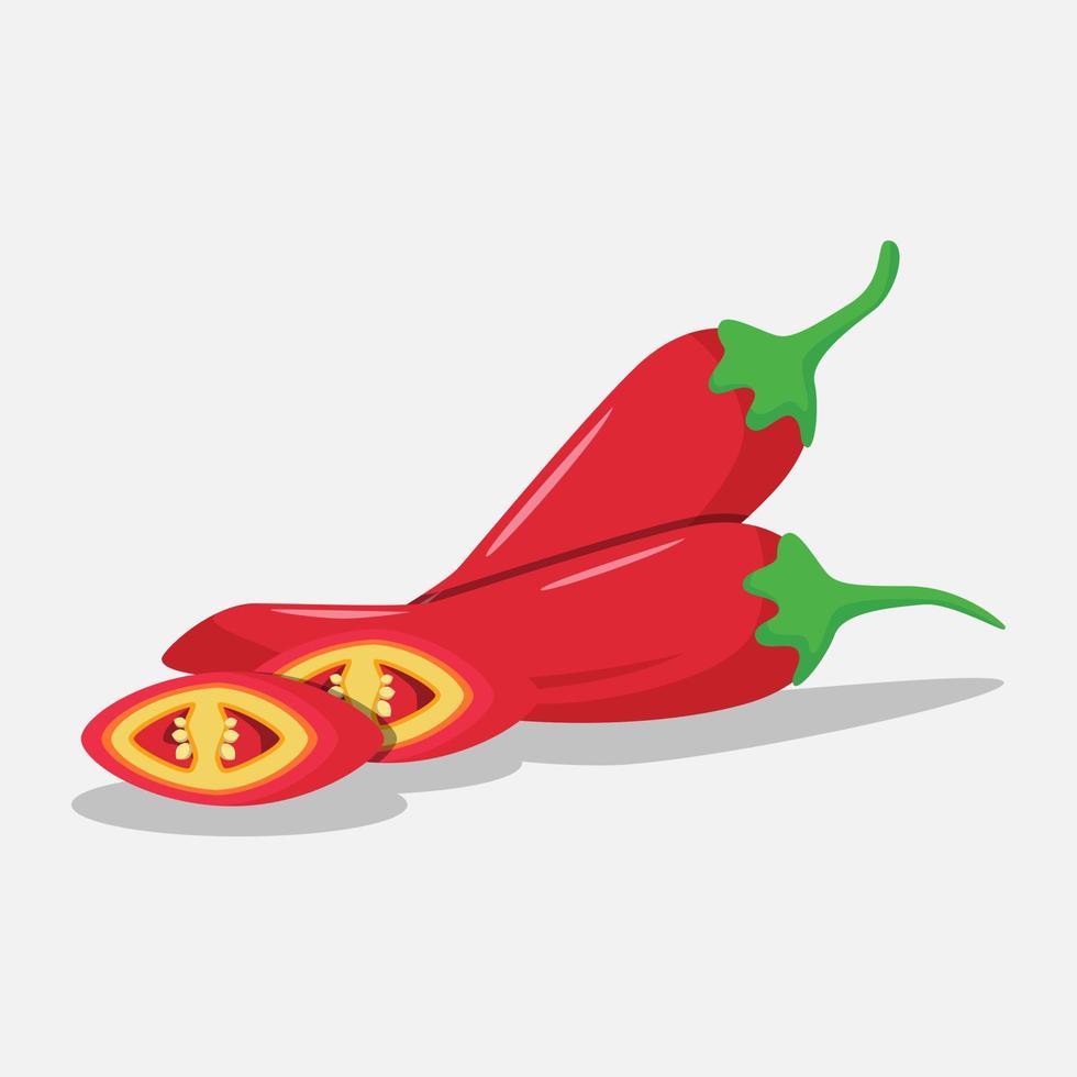 red chili illustration vector