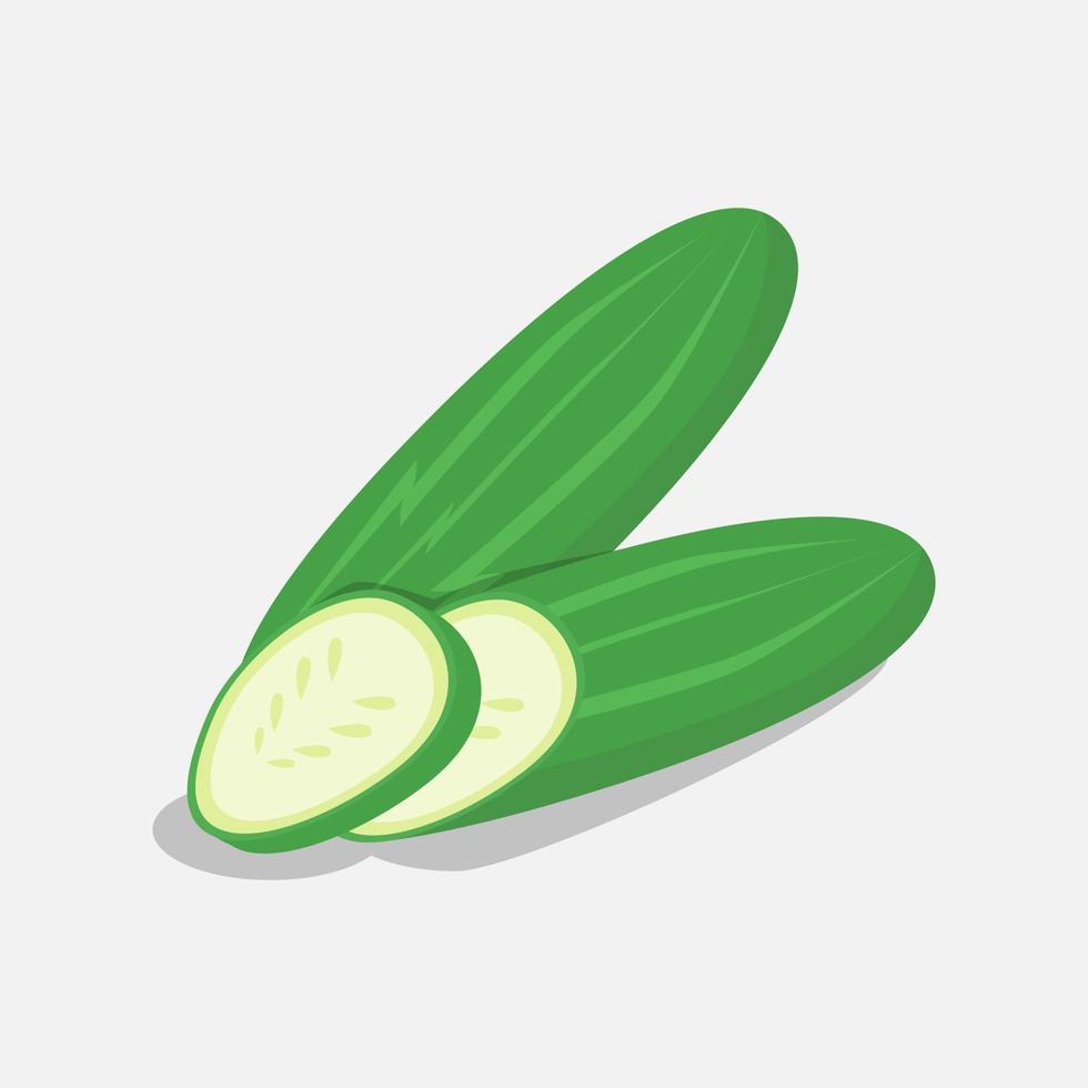 cucumber illustration vector