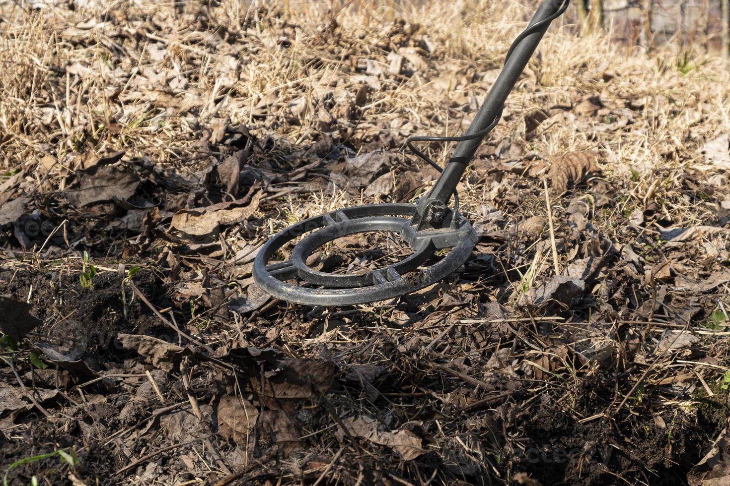 searching for military supplies mine and shells with a metal detector photo