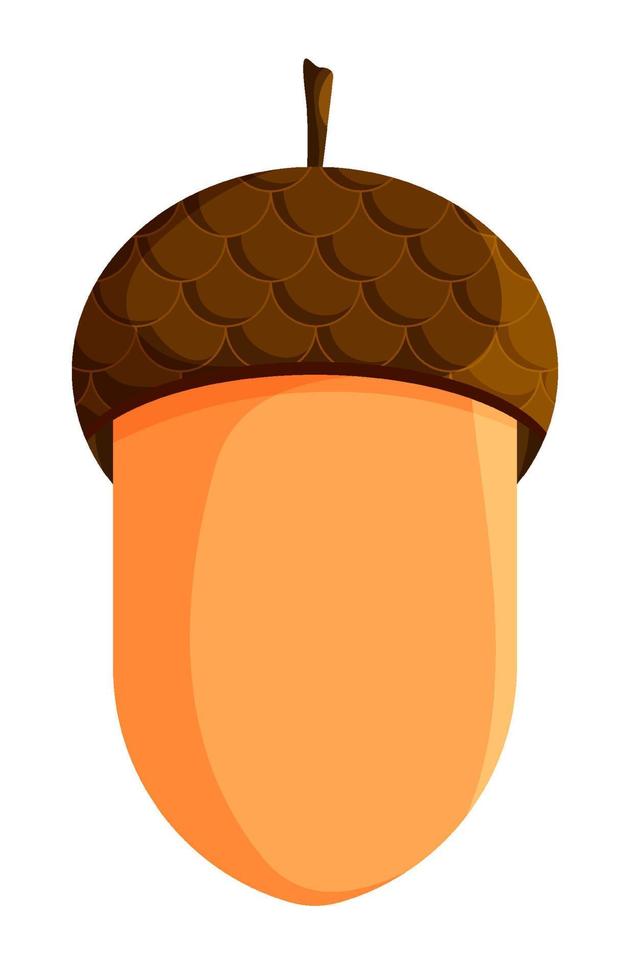 Acorn icon. Oak, oak grove. Color vector on white background