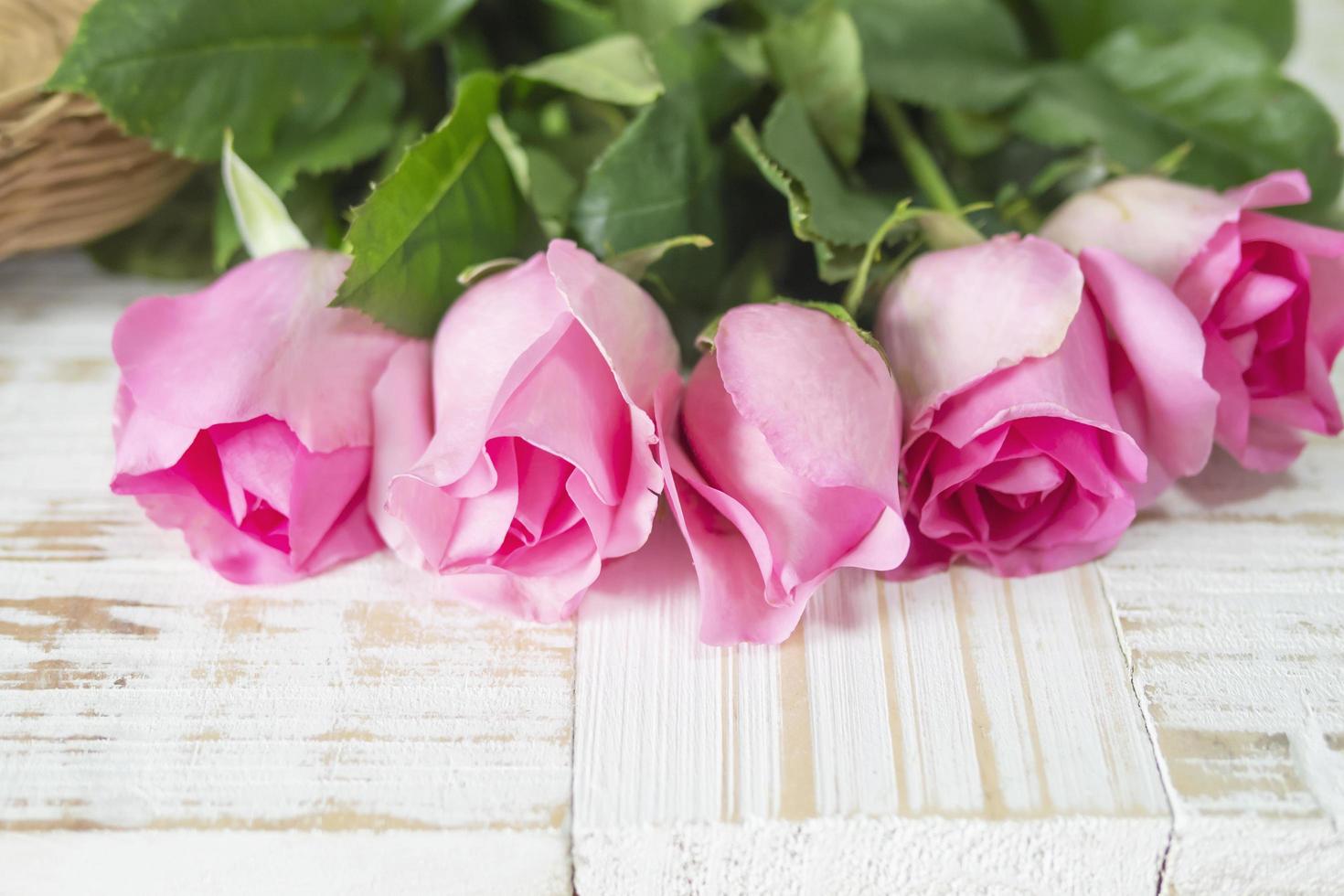 Pink fresh rose over white wooden background - colorful background concept photo