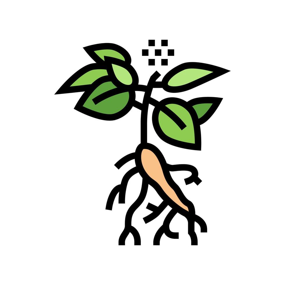 ilustración de vector de icono de color de planta de ginseng