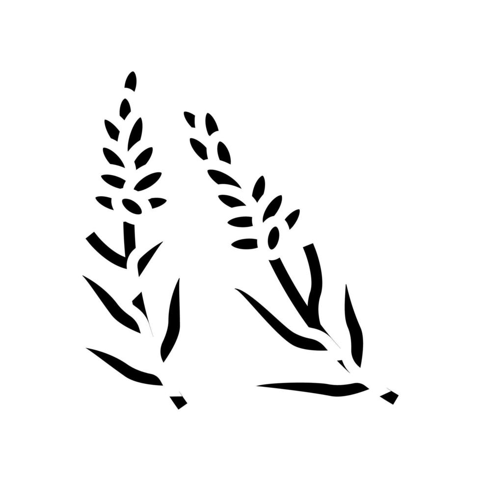 lavanda hierba glifo icono vector ilustración