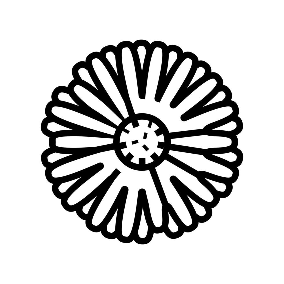 flor de caléndula brote línea icono vector ilustración