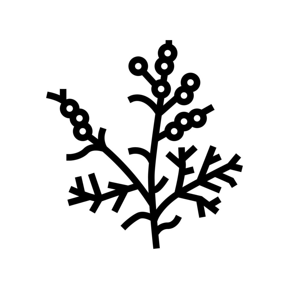 wormwood plant line icon vector illustration