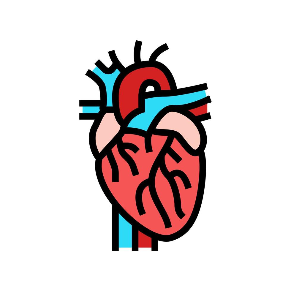 heart organ color icon vector illustration