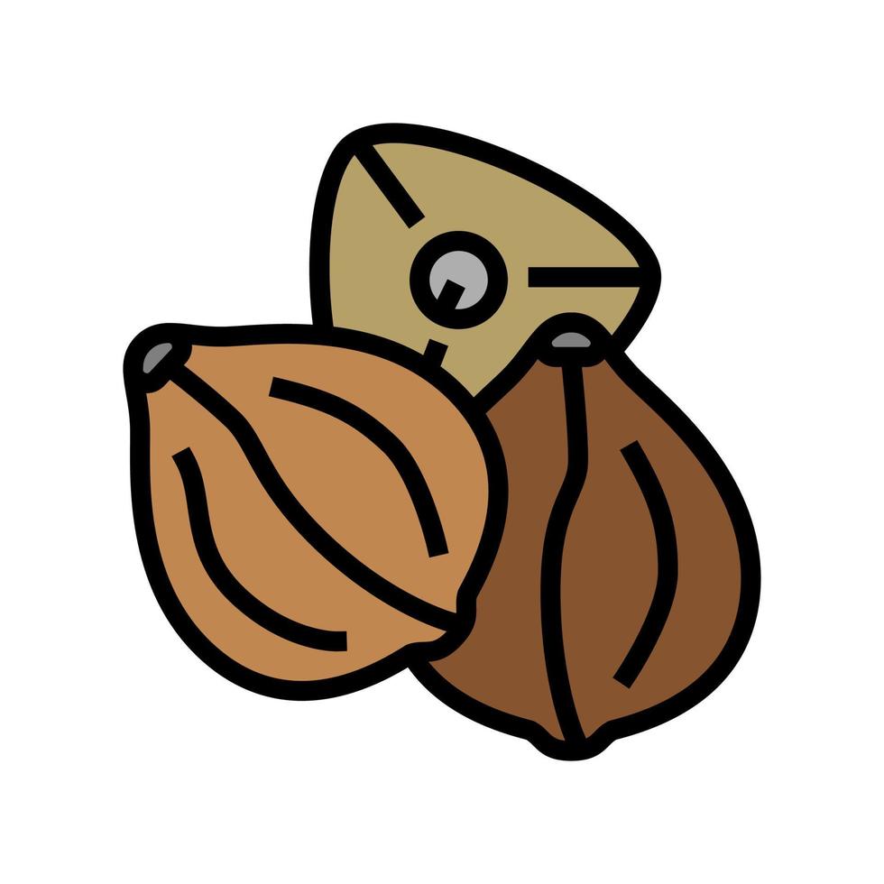 buckwheat seed color icon vector illustration