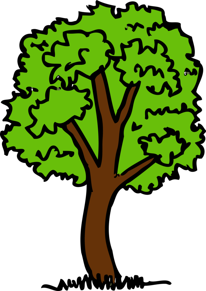 alberi con foglie icona segno design png