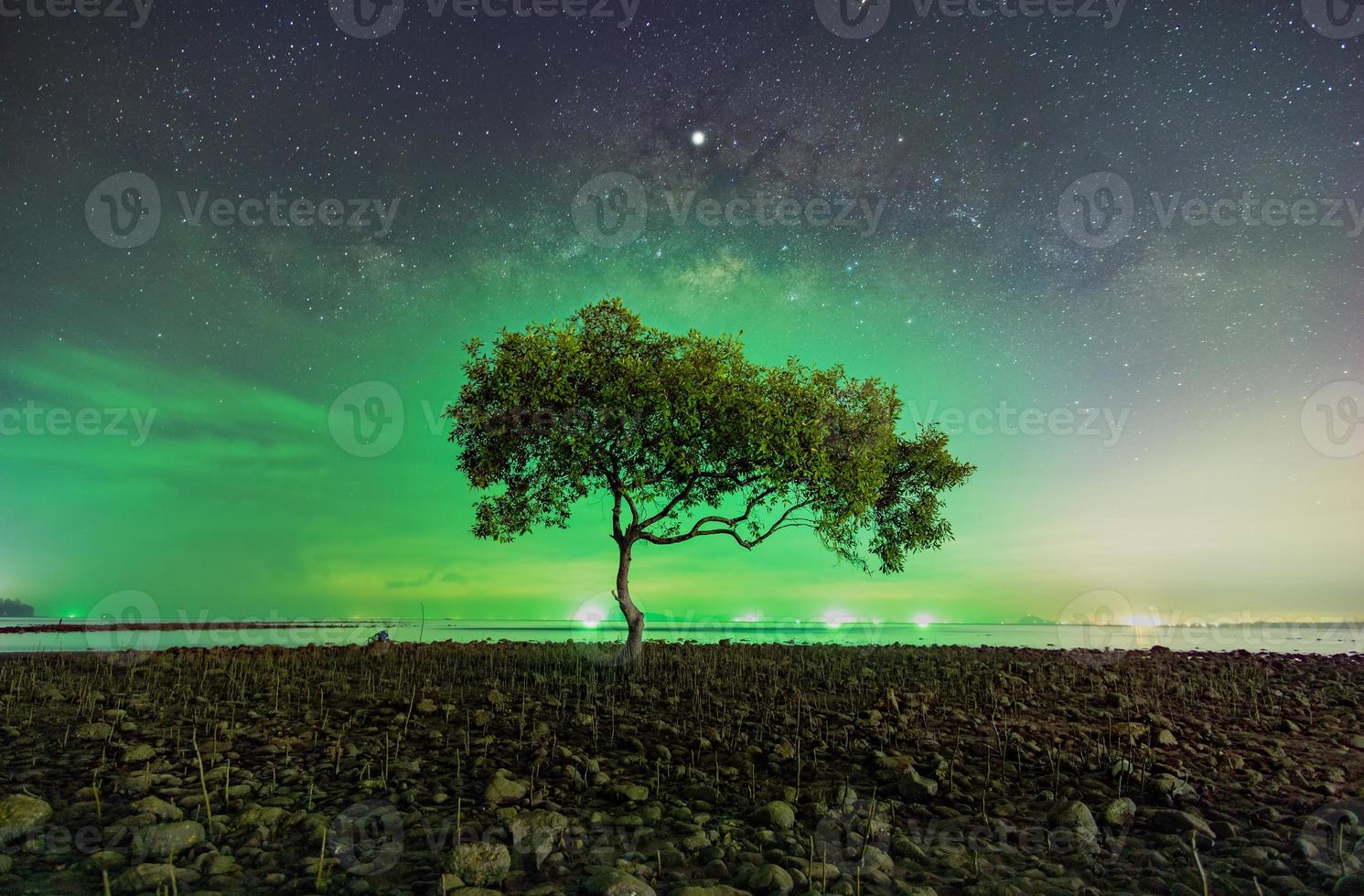 A tree at Chumphon beach, Chumphon province. The movement of clouds and the Milky Way. The mangrove area receives the green light from fishing boats. photo