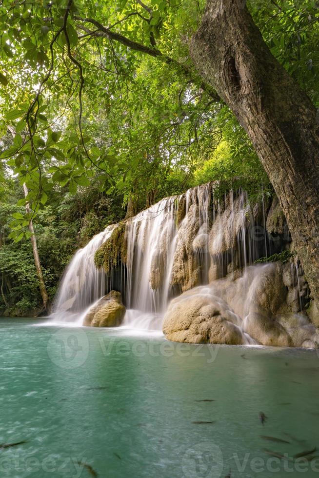 agua verde esmeralda limpia de la cascada rodeada de árboles pequeños - árboles grandes, color verde, cascada de erawan, provincia de kanchanaburi, tailandia foto