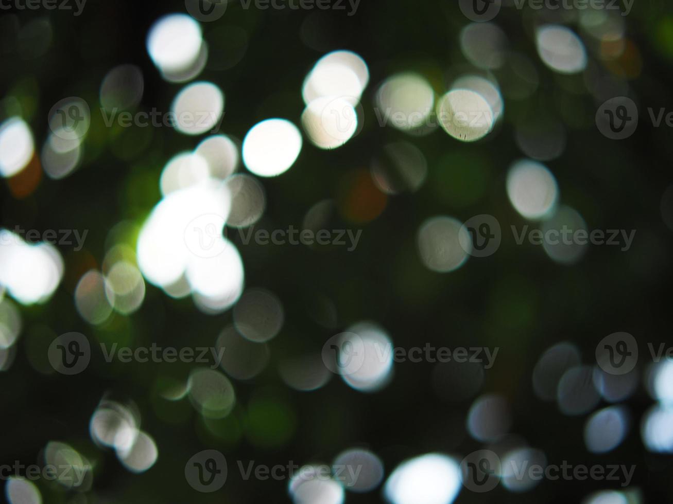 Bokeh blur background green forest photo