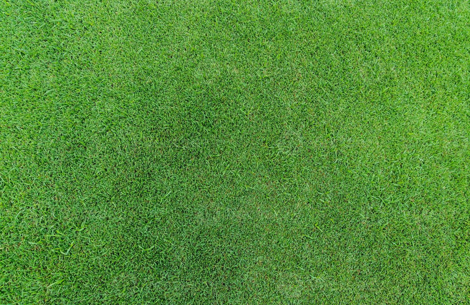 fondo de textura de hierba verde. hierba del campo de golf. vista superior de la hierba verde del fondo de la textura del césped. césped de césped en campo de golf. campo de deportes. antecedentes comerciales de cuidado del césped. textura de alfombra de césped. foto