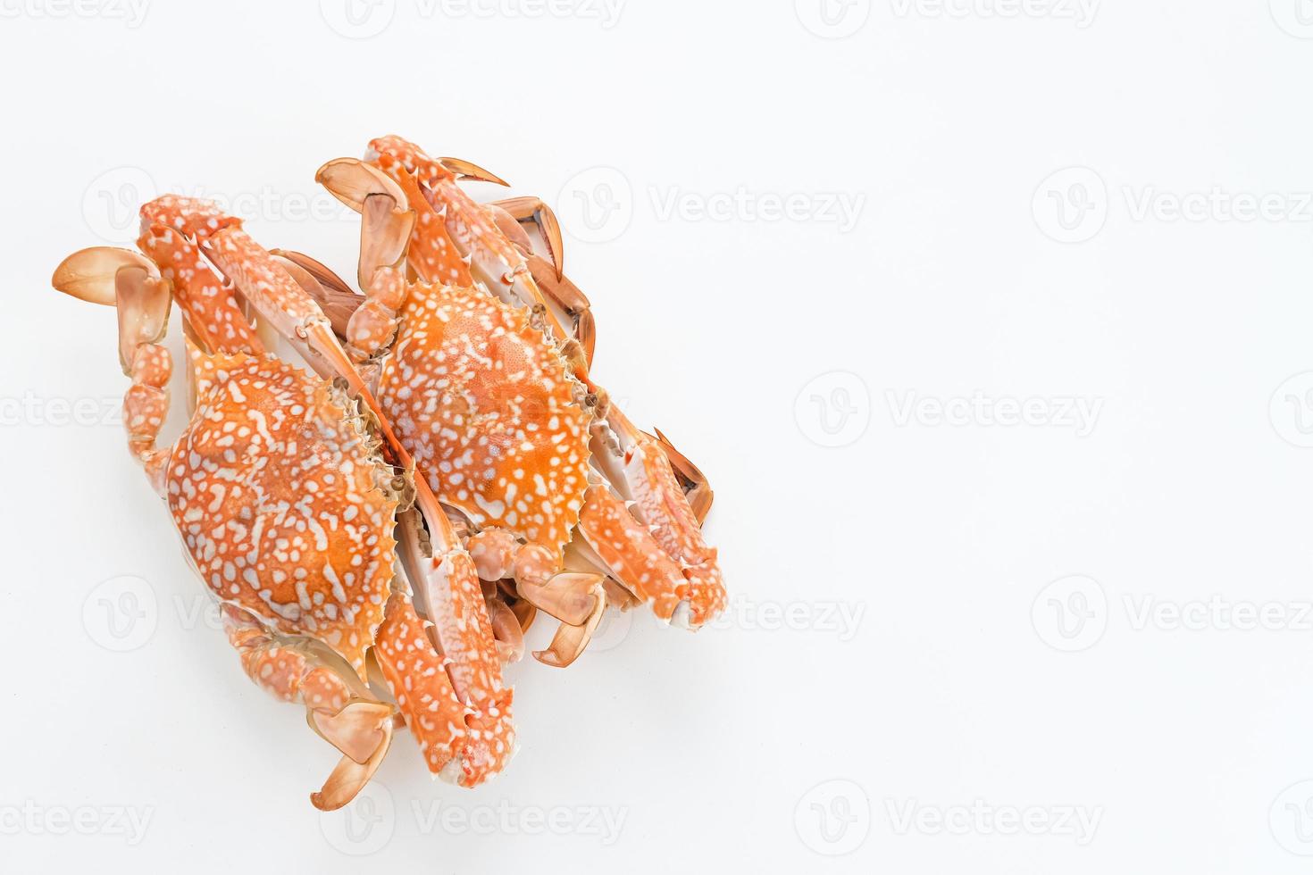 Steamed Blue Crab isolated on white background, food preparation photo