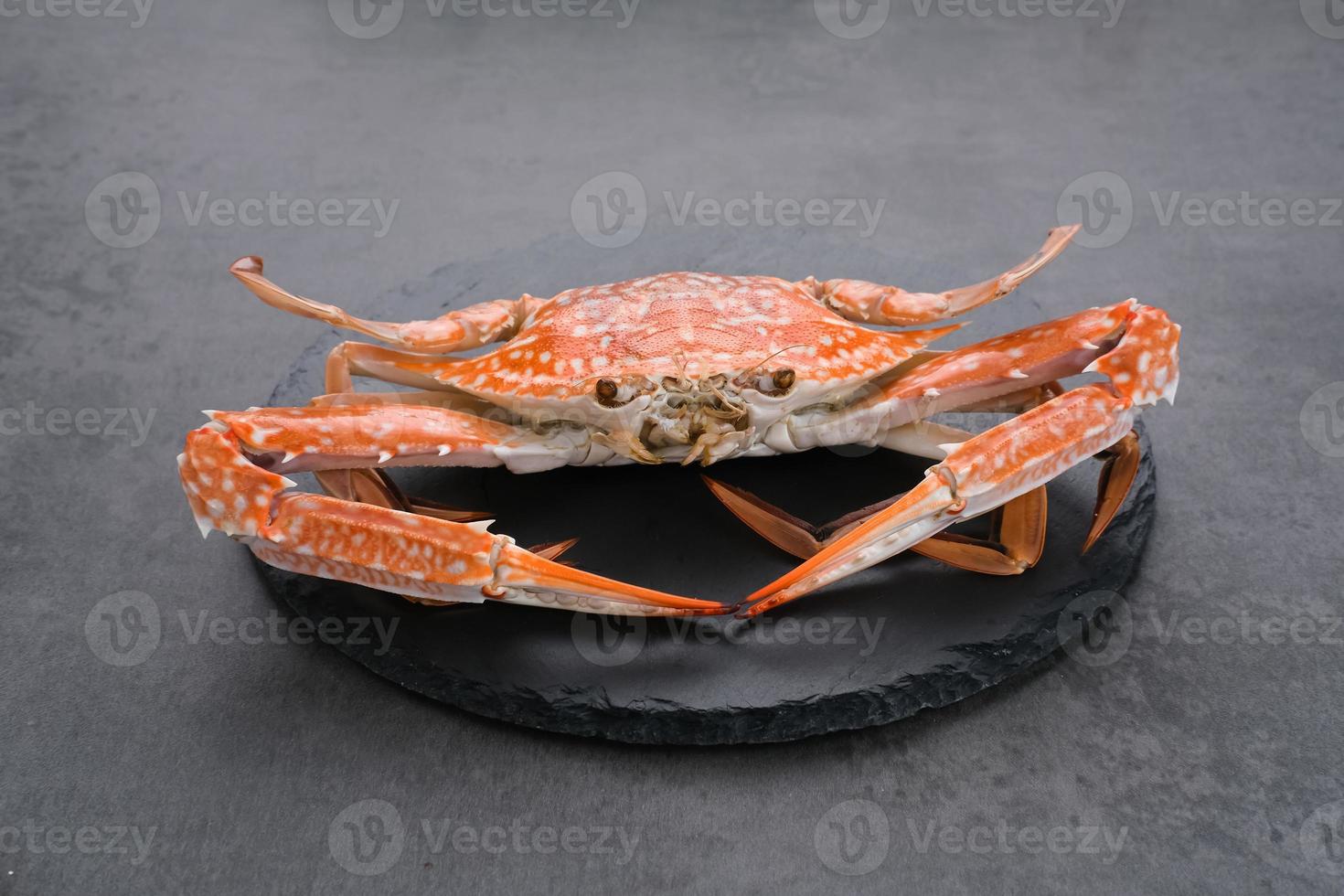 Steamed Blue Crab served on plate, food preparation photo