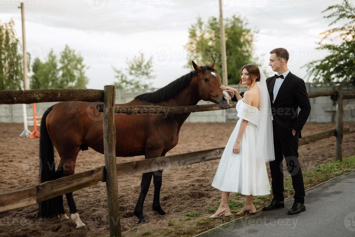 young couple the groom in a black suit and the bride in a white short dress photo