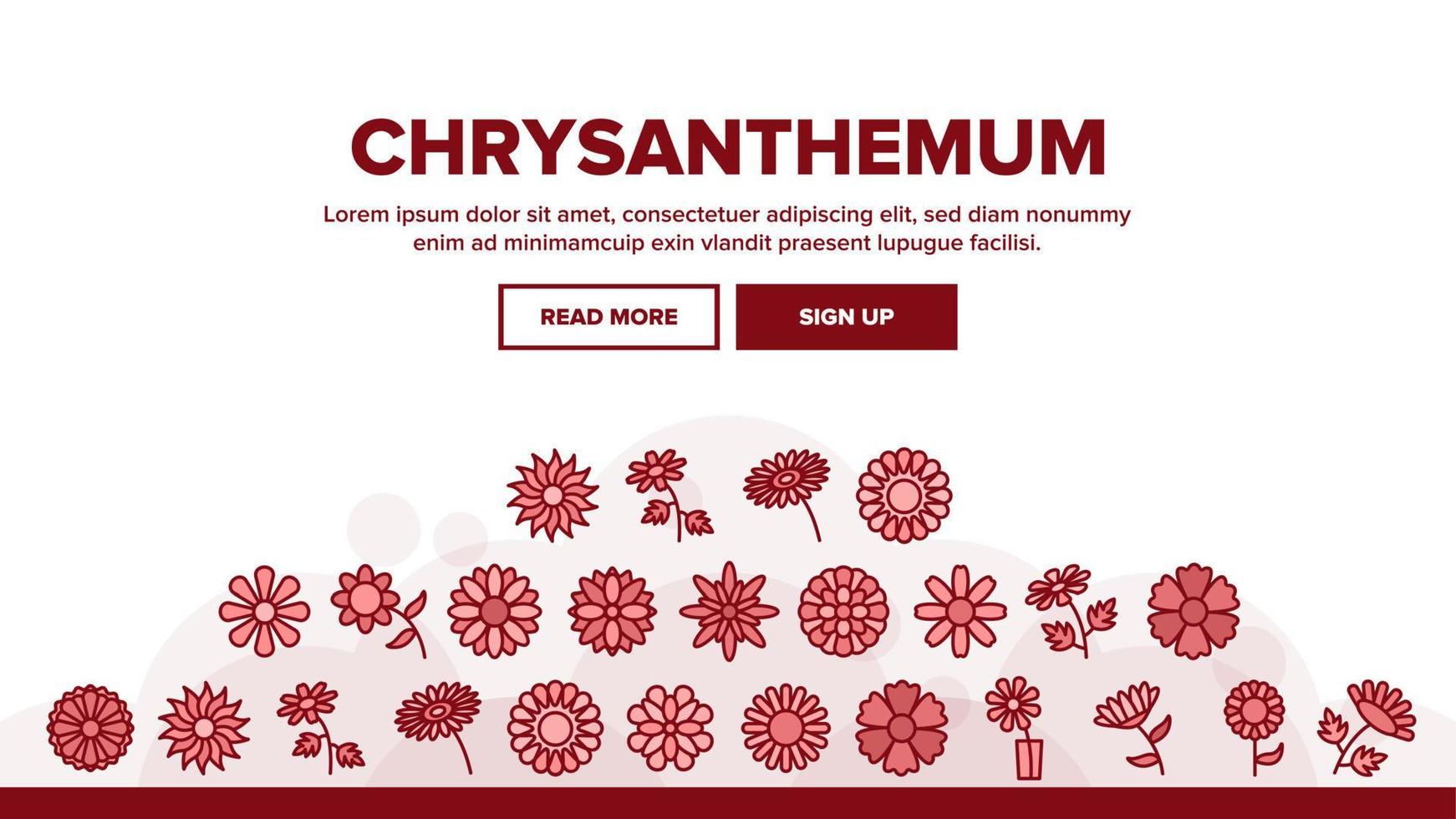 Chrysanthemum Flower Landing Header Vector