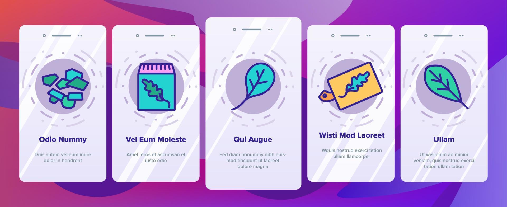 Arugula Or Rucola Onboarding Icons Set Vector