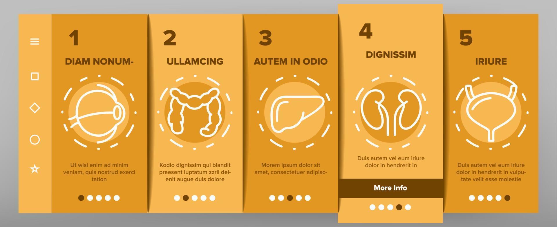 Organs Anatomical Onboarding Icons Set Vector