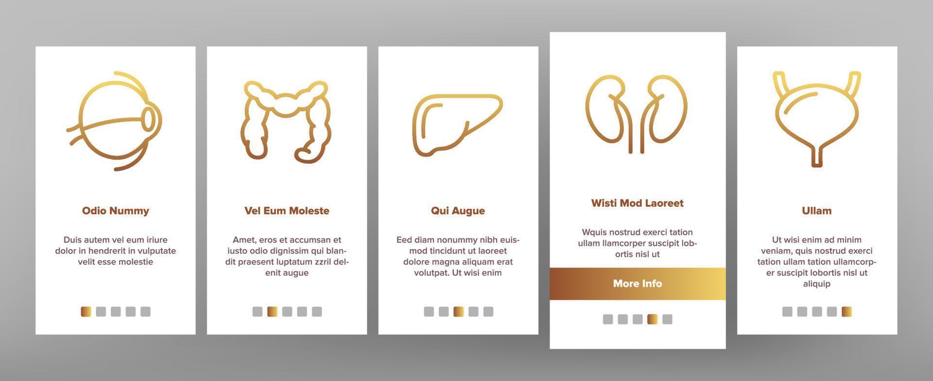 Organs Anatomical Onboarding Icons Set Vector