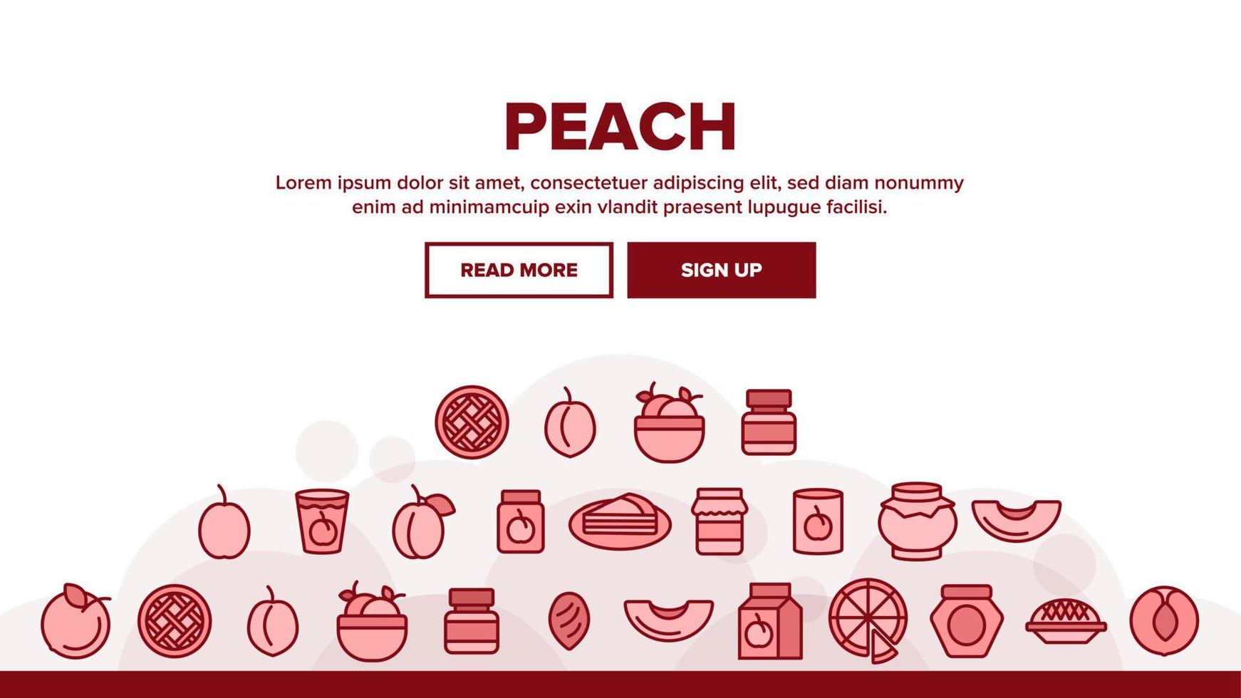 Peach Fruit Landing Header Vector