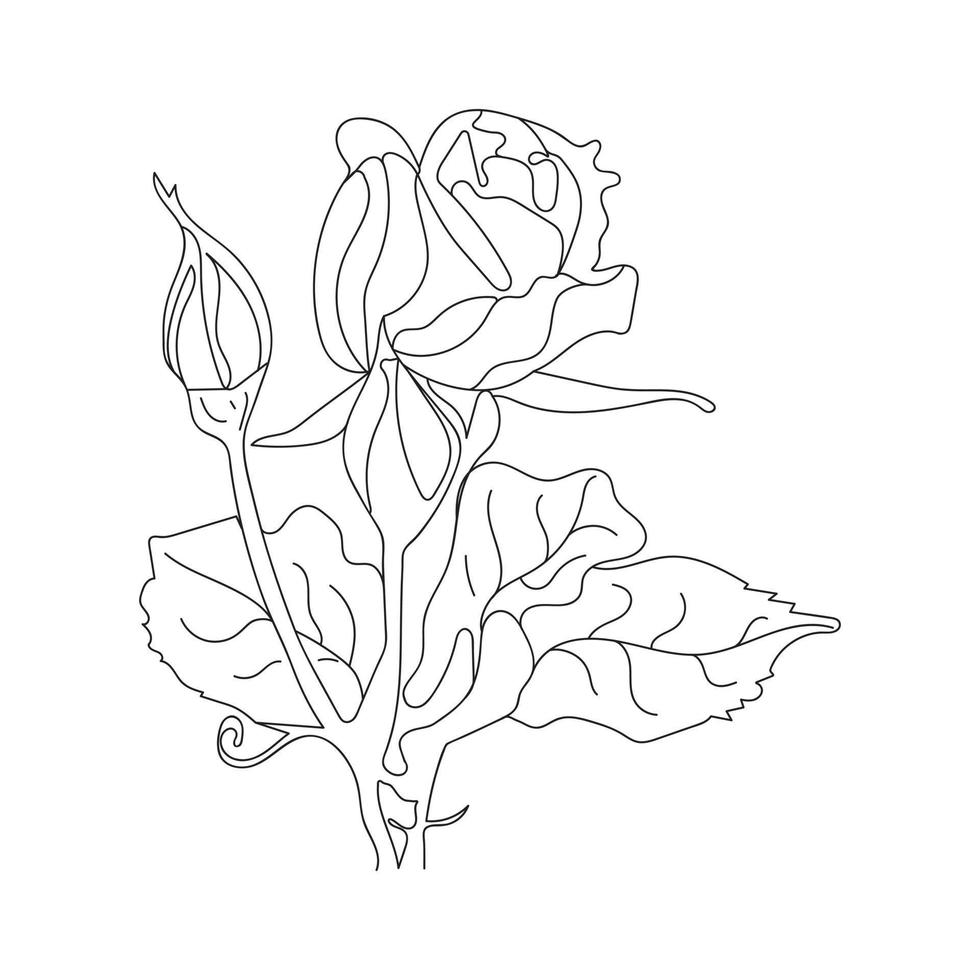 Rose flower outline art. Black Color Hand drawn rose flower vector