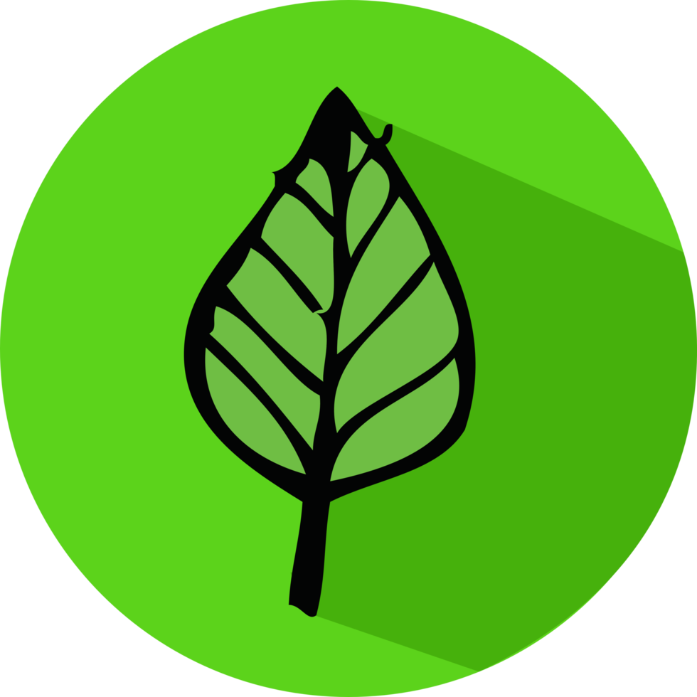 Leaf icon sign symbol design png
