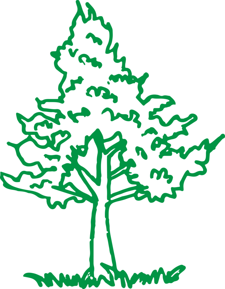 alberi con foglie icona segno design png