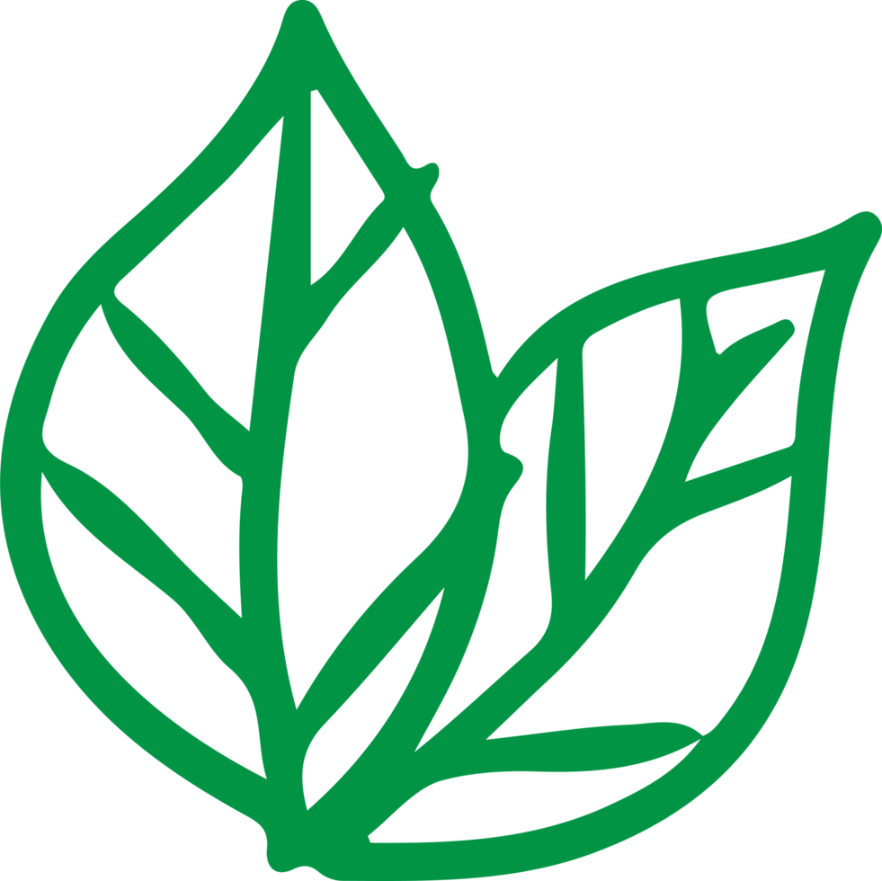 bomen met bladeren pictogram teken ontwerp png