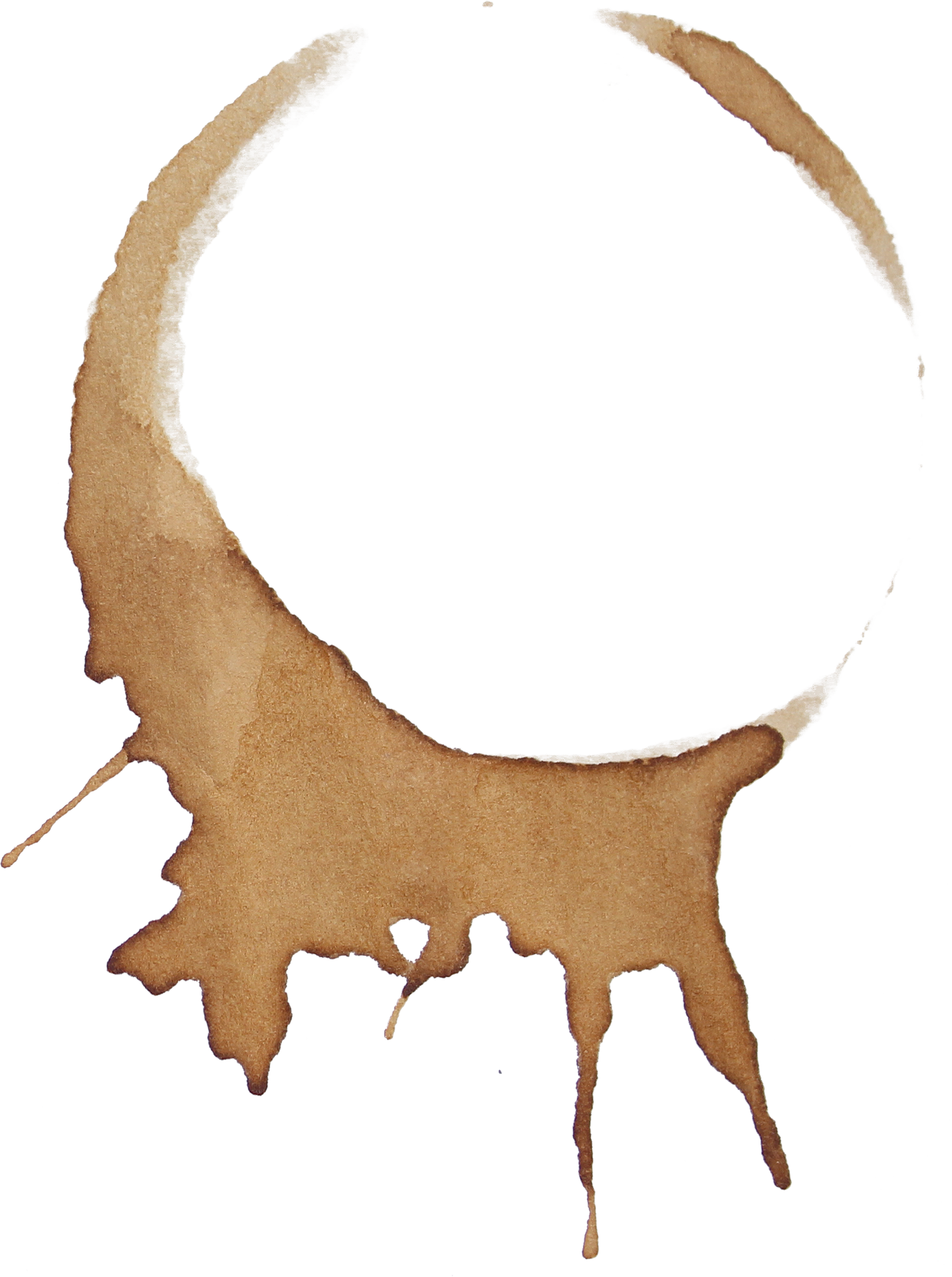 Download Clip Art Coffee Cup Stain Coffee Ring Stain - vrogue.co