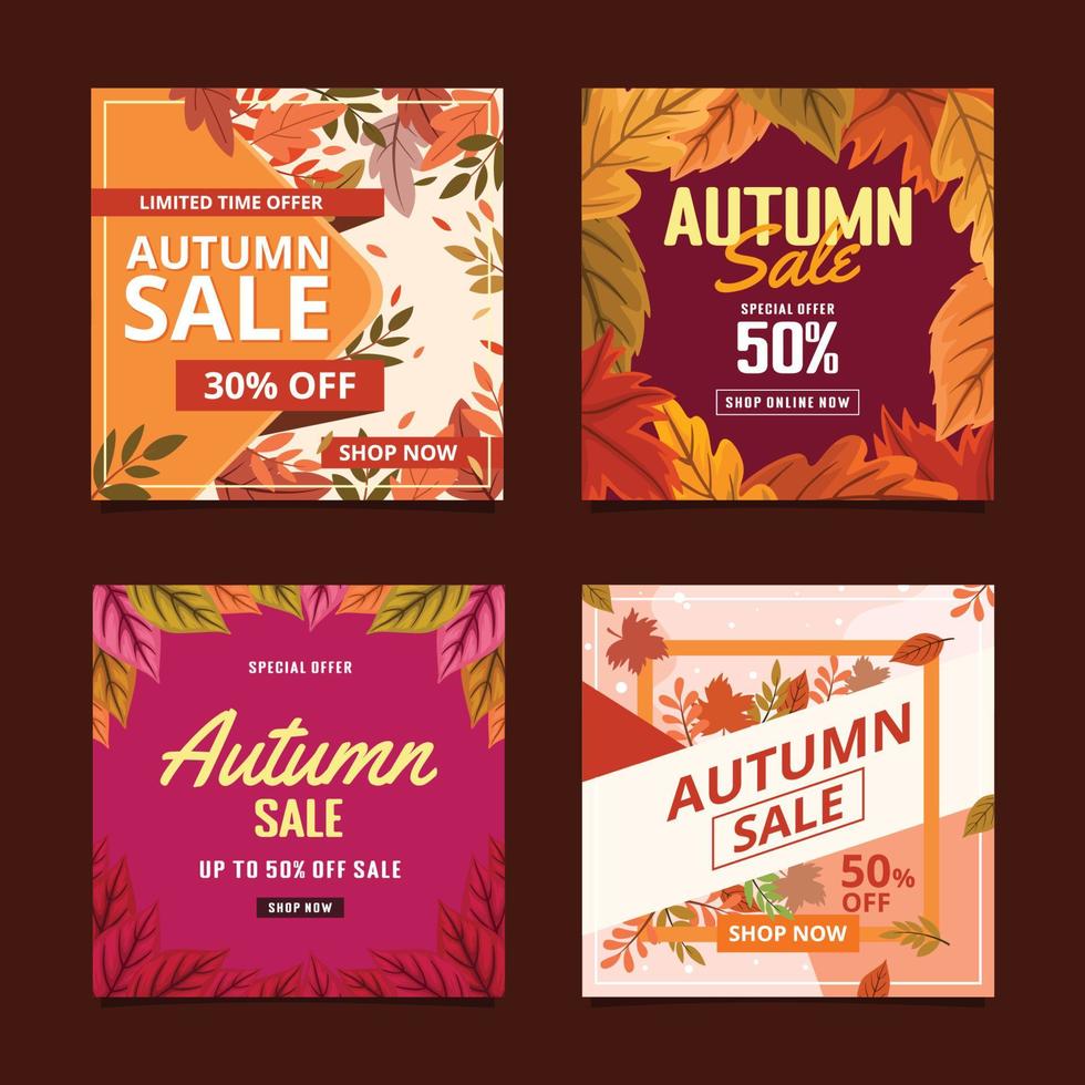 Special Offer Autumn Social Media Post vector