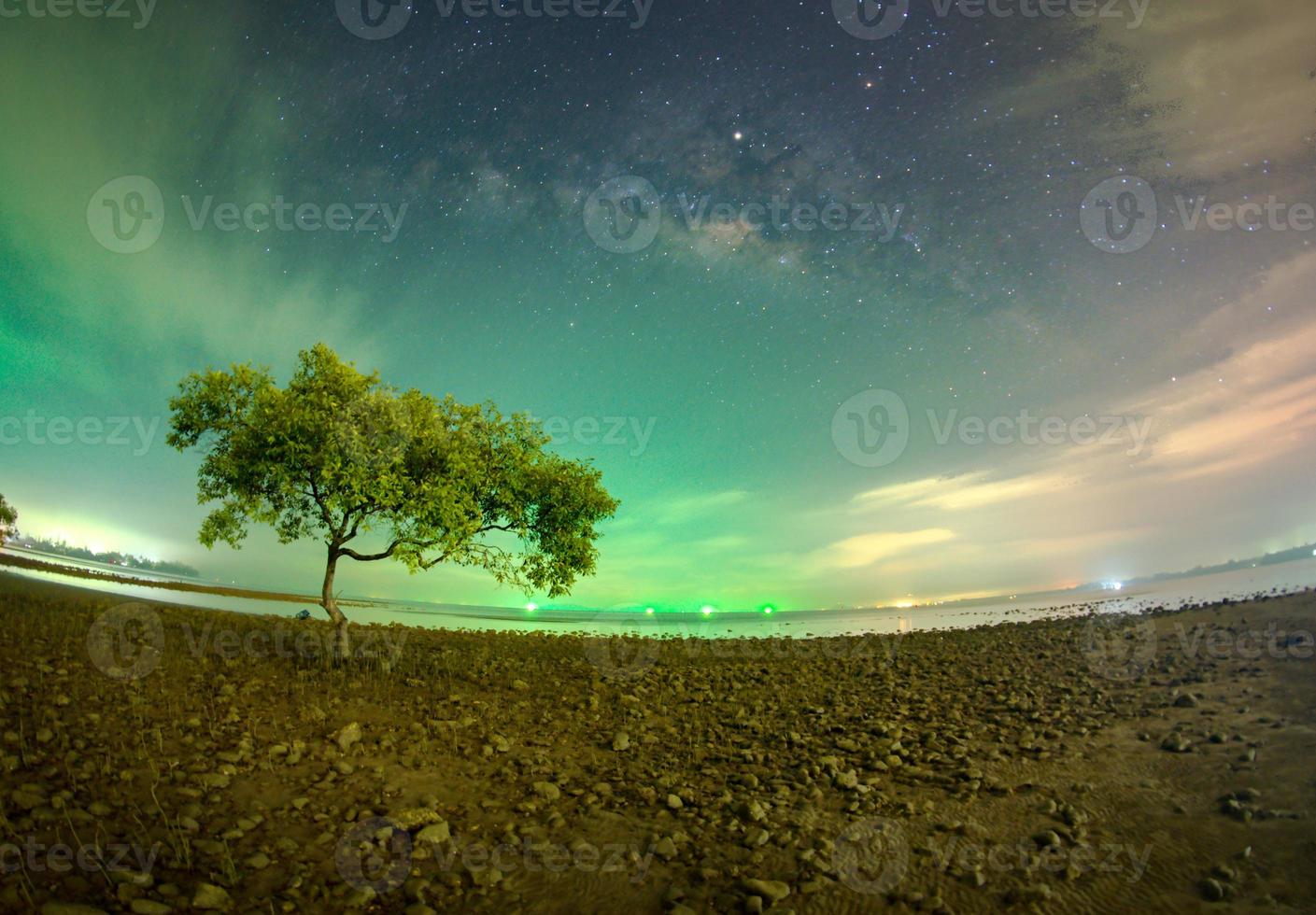 One tree at Chumphon beach, Chumphon province. The movement of clouds and the Milky Way. The mangrove area receives green light from fishing boats. photo
