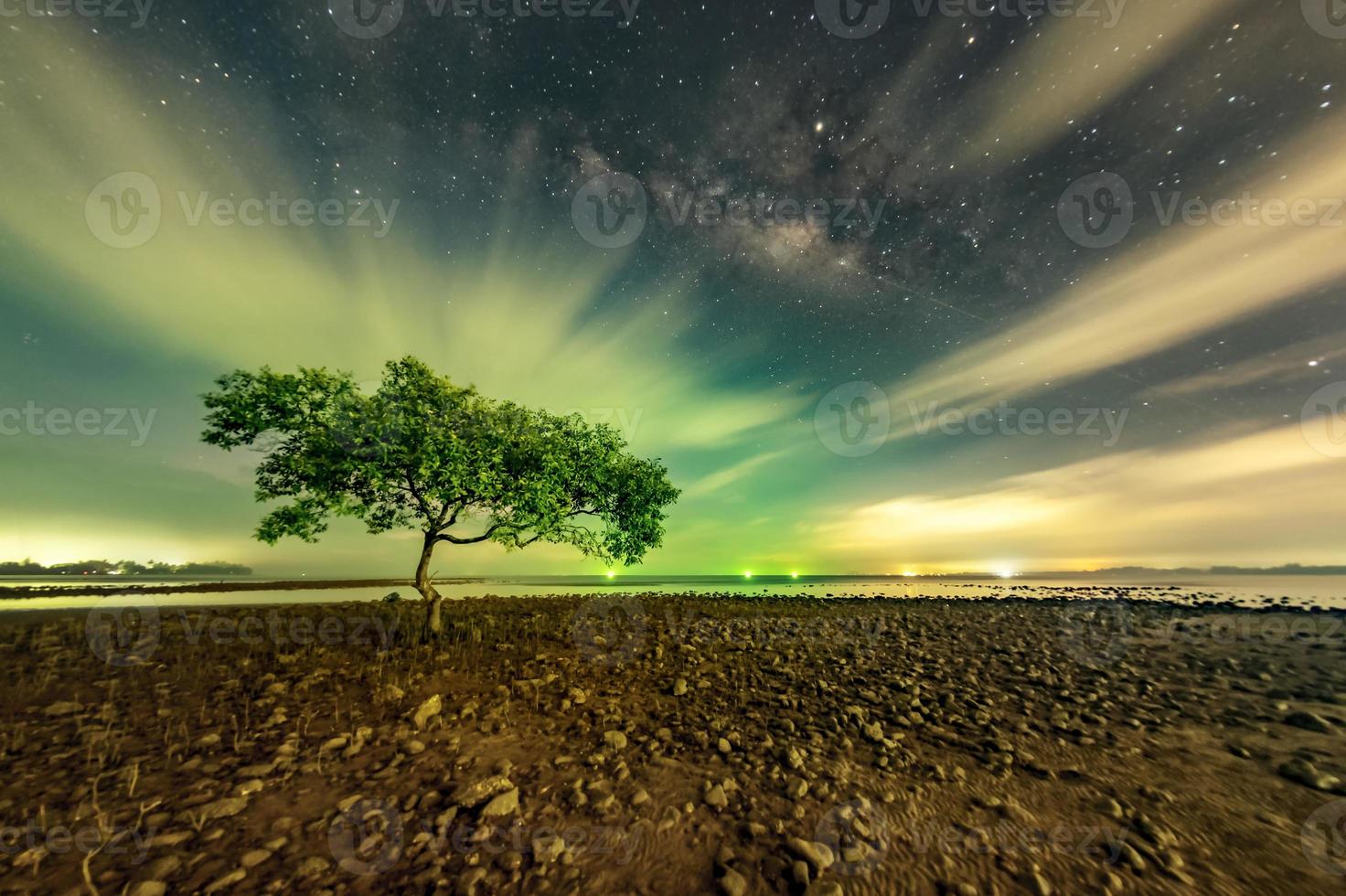 One tree at Chumphon beach, Chumphon province. The movement of clouds and the Milky Way. The mangrove area receives green light from fishing boats. photo