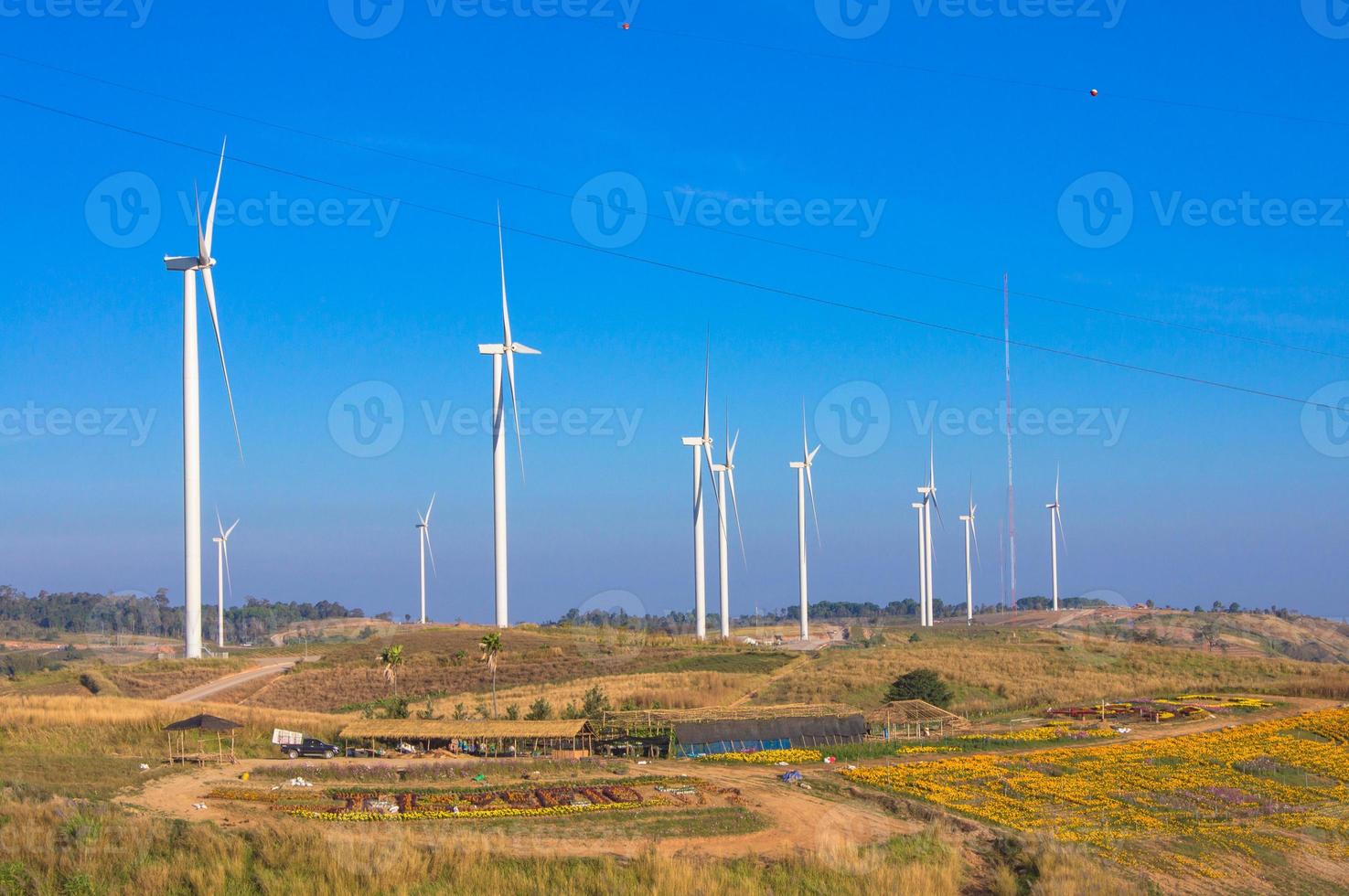 Wind turbines. Wind power generators. Alternative energy, reduce global warming. Reduce insufficient energy problems. photo