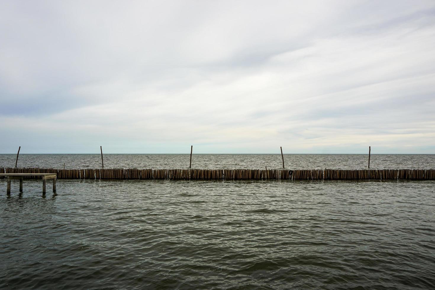 bambú seco juntos en el mar. prevenir la erosión costera del agua de mar. foto