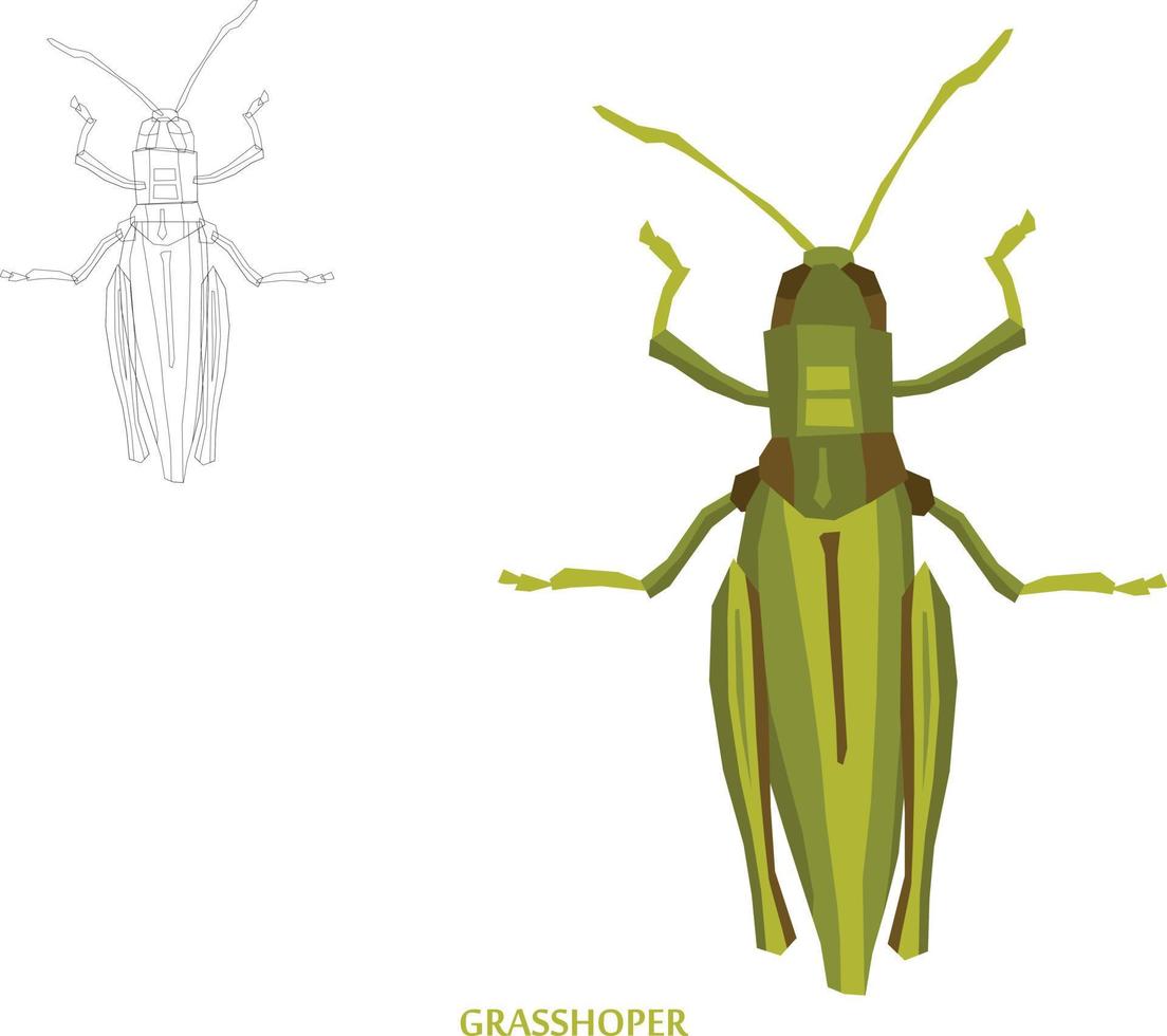 Insects Sketch to Vector Illustration