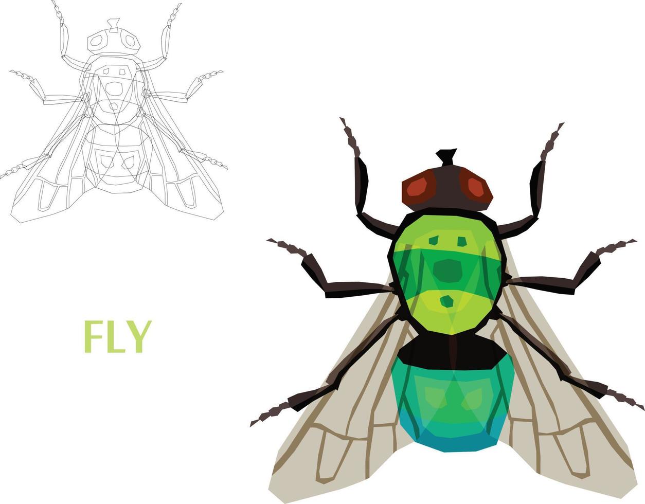 bosquejo de insectos a ilustración vectorial vector