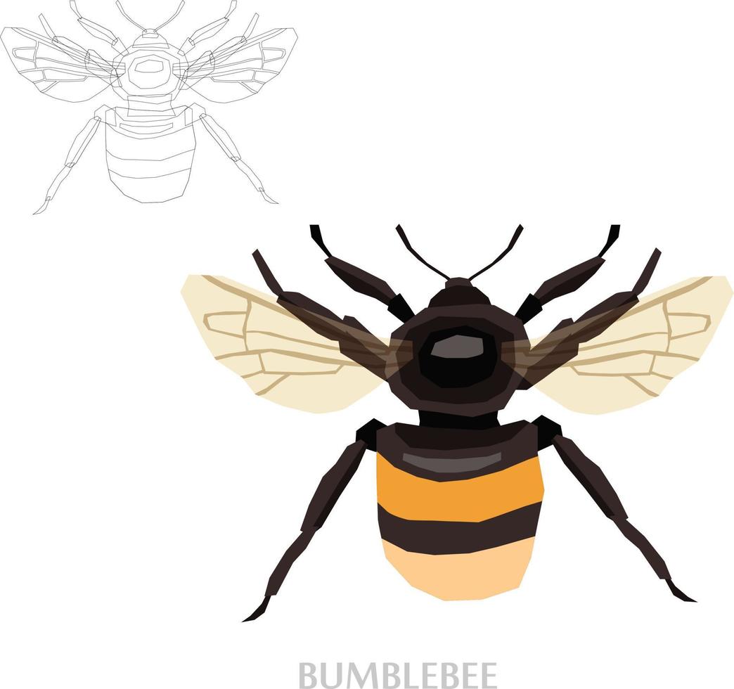 bosquejo de insectos a ilustración vectorial vector