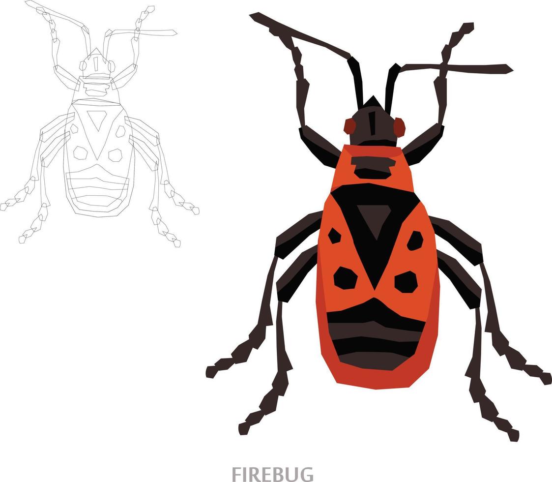 Insects Sketch to Vector Illustration