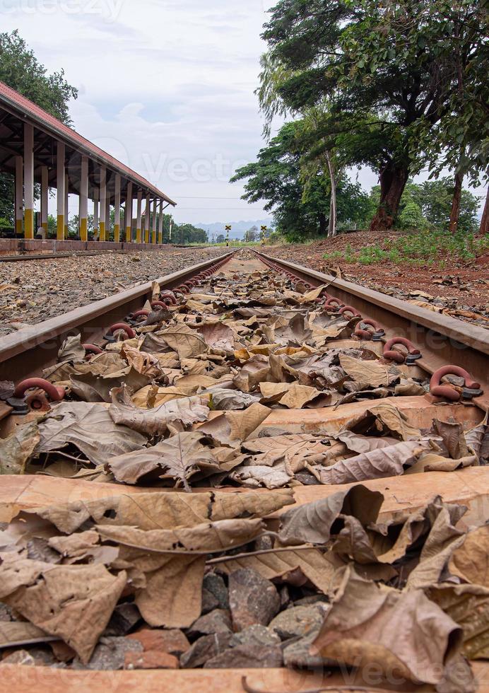 The railway station area. In the train tracks are full of dried leaves. photo
