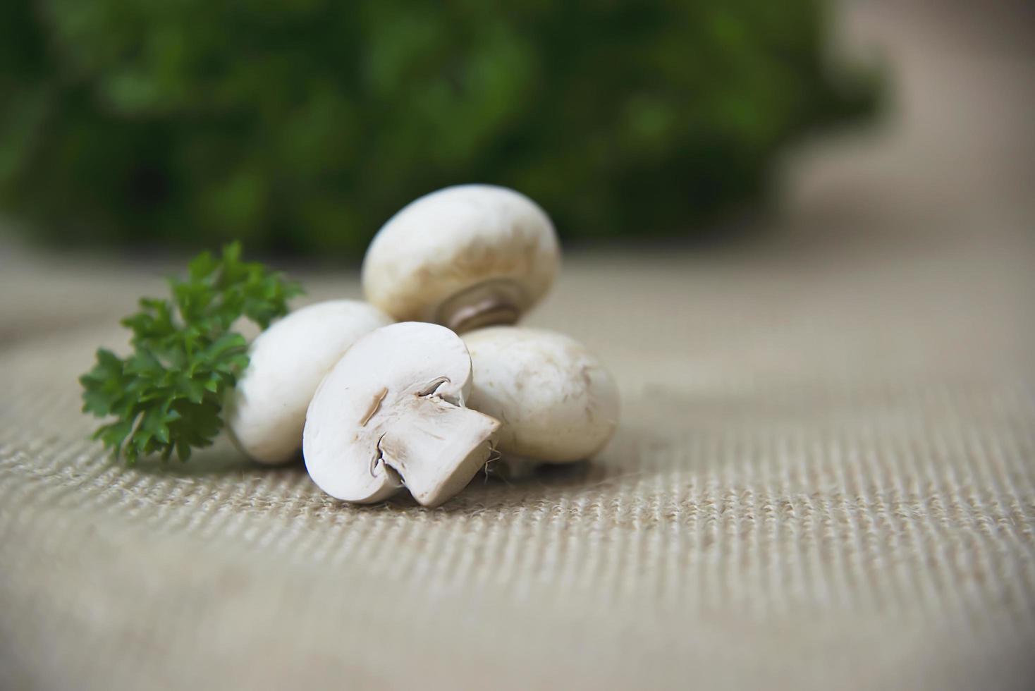 Fresh champignon mushroom vegetable in the kitchen - fresh mushroom vegetable cooking concept photo