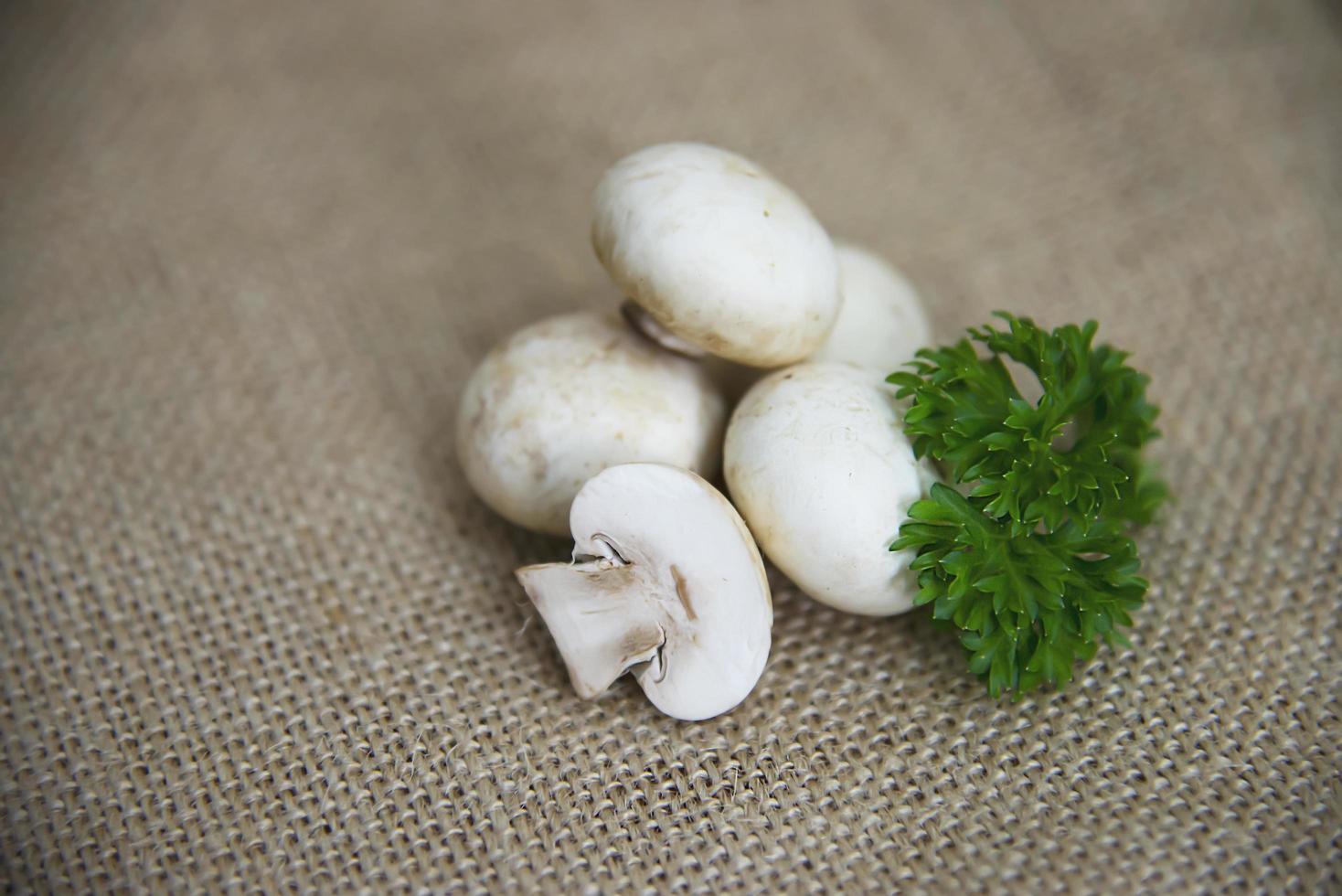 Fresh champignon mushroom vegetable in the kitchen - fresh mushroom vegetable cooking concept photo