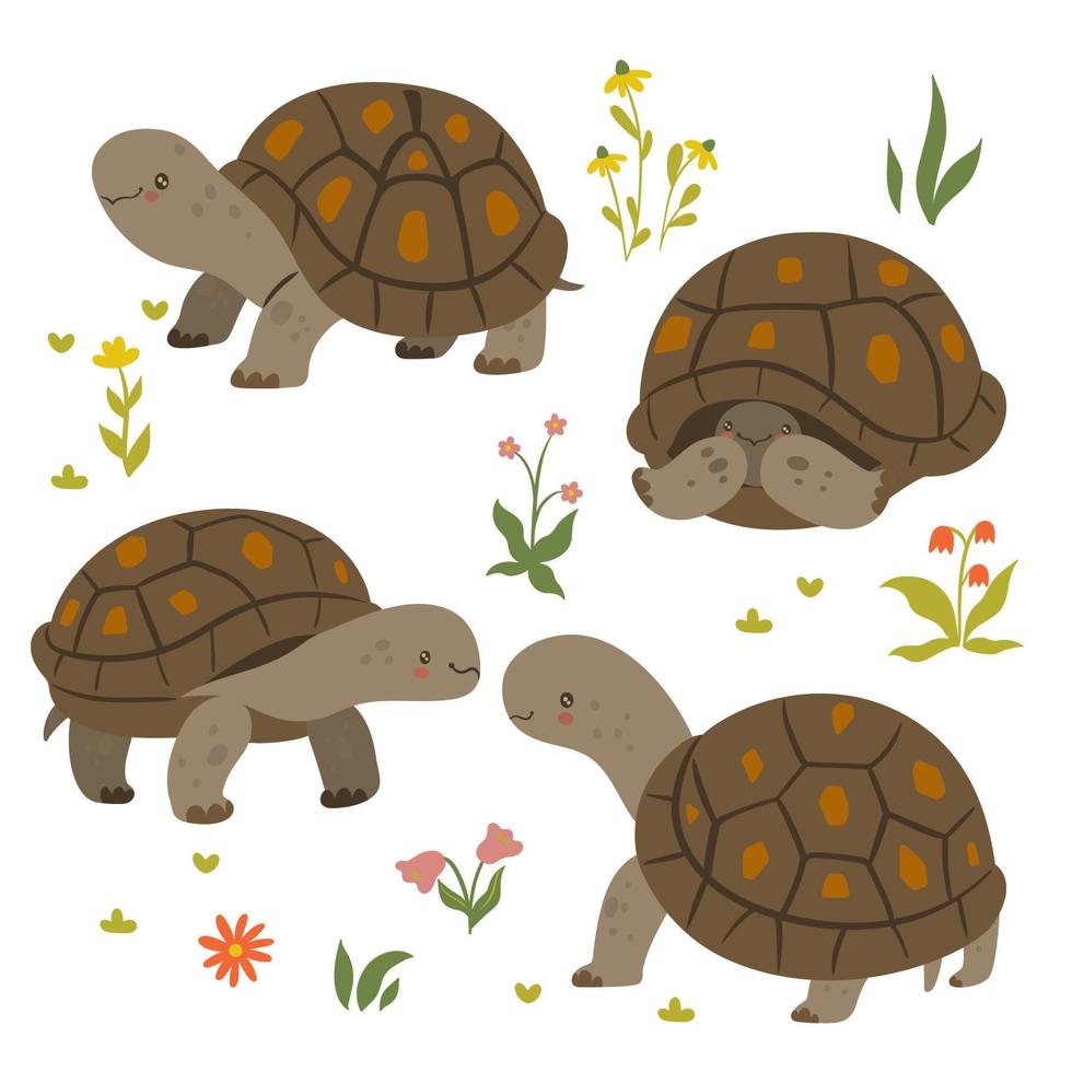 Set of cute turtles isolated on a white background. Vector graphics.