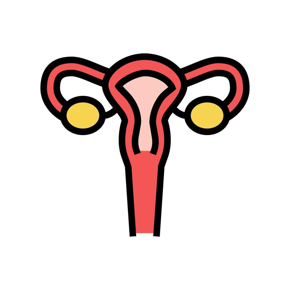 uterus woman organ color icon vector illustration