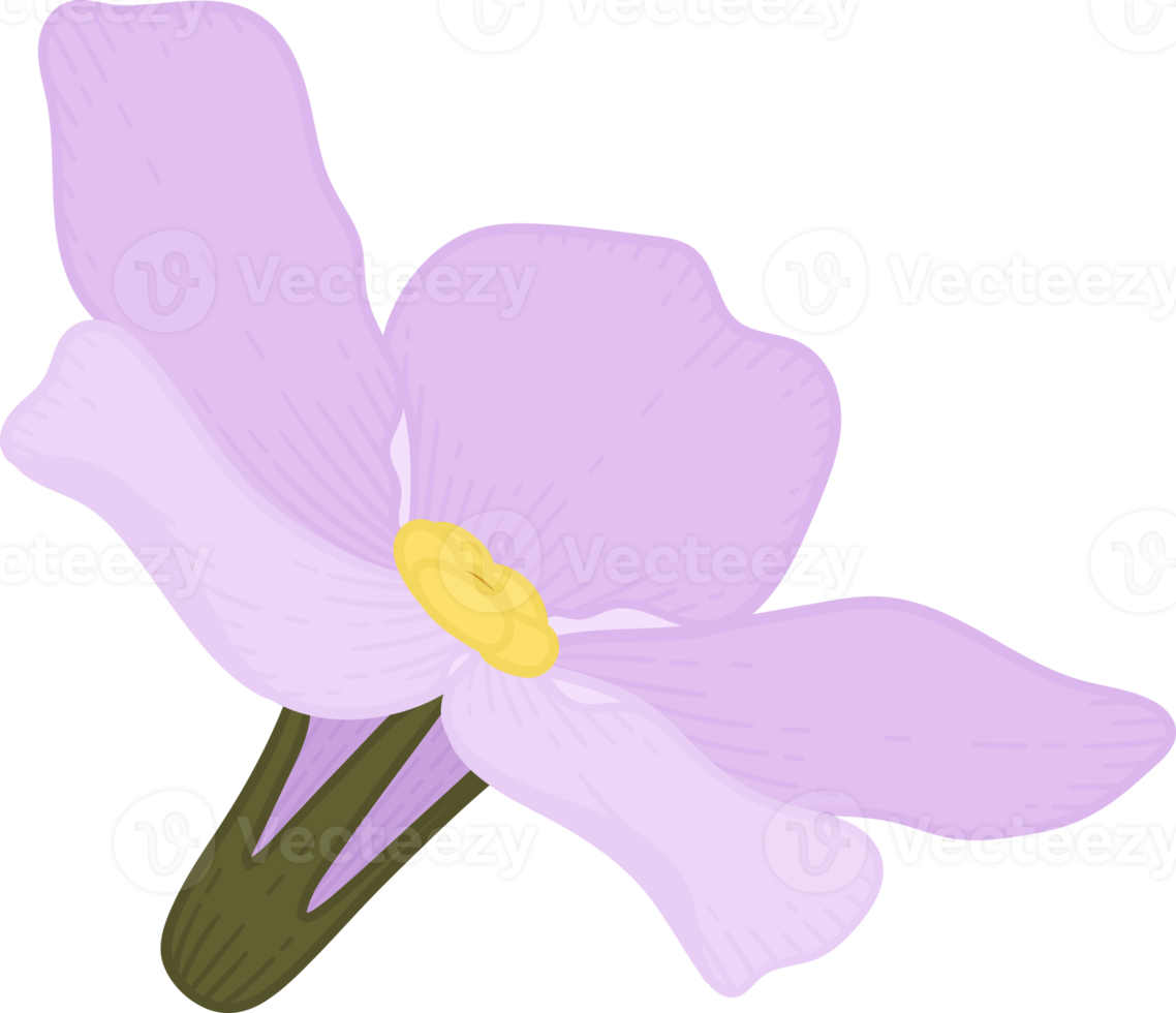 rosa glöm mig inte blomma handritad illustration. png