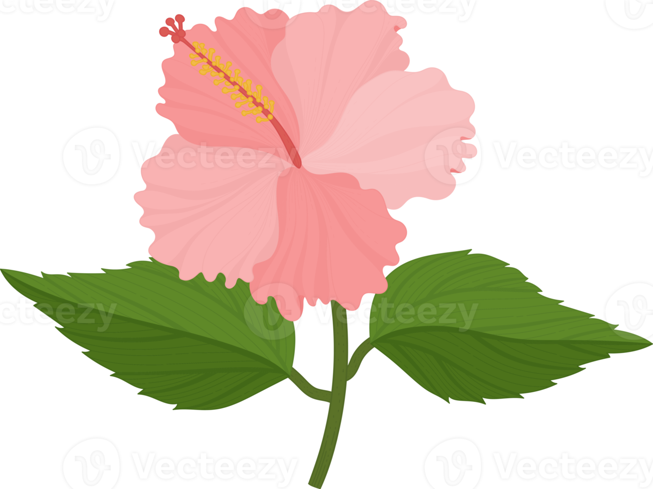 rosa hibiskus blomma handritad illustration. png