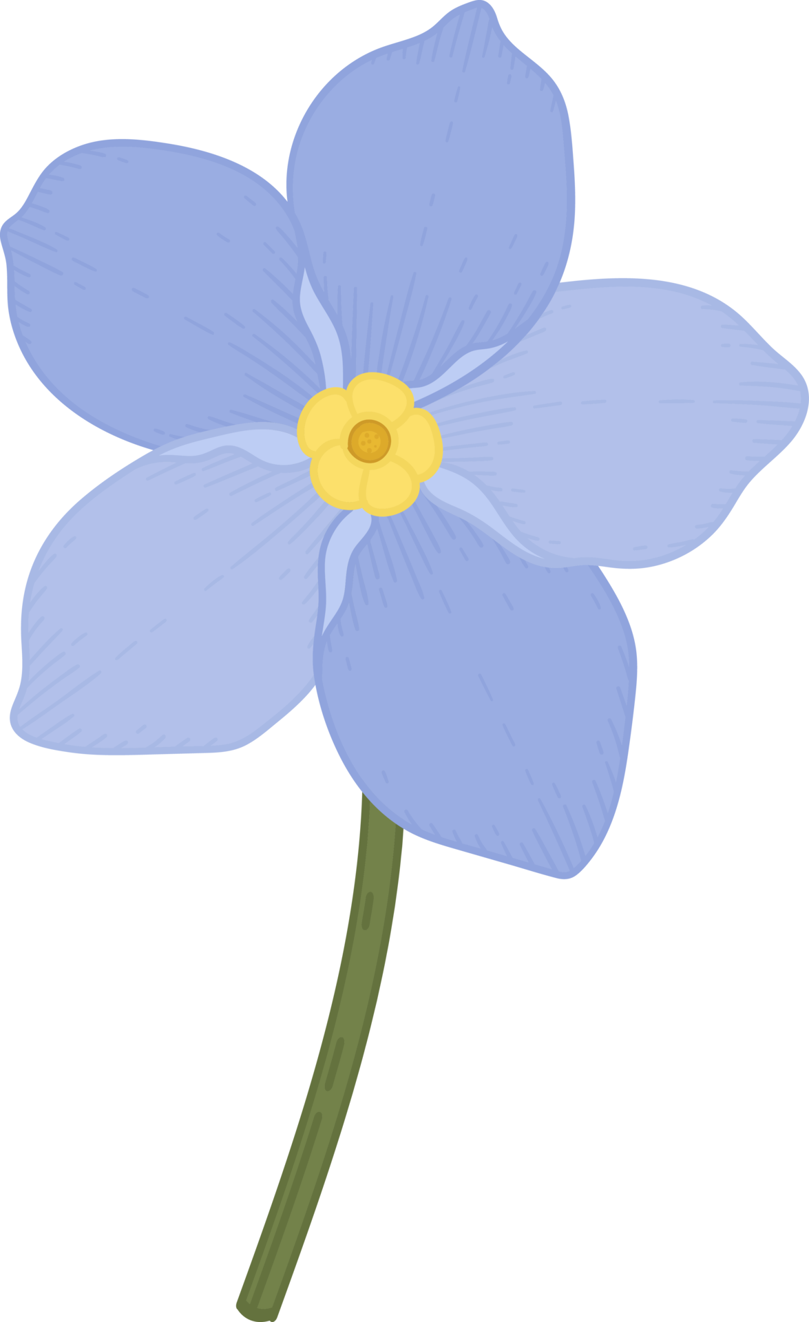 Blue me not flower hand drawn illustration. 10170527 PNG