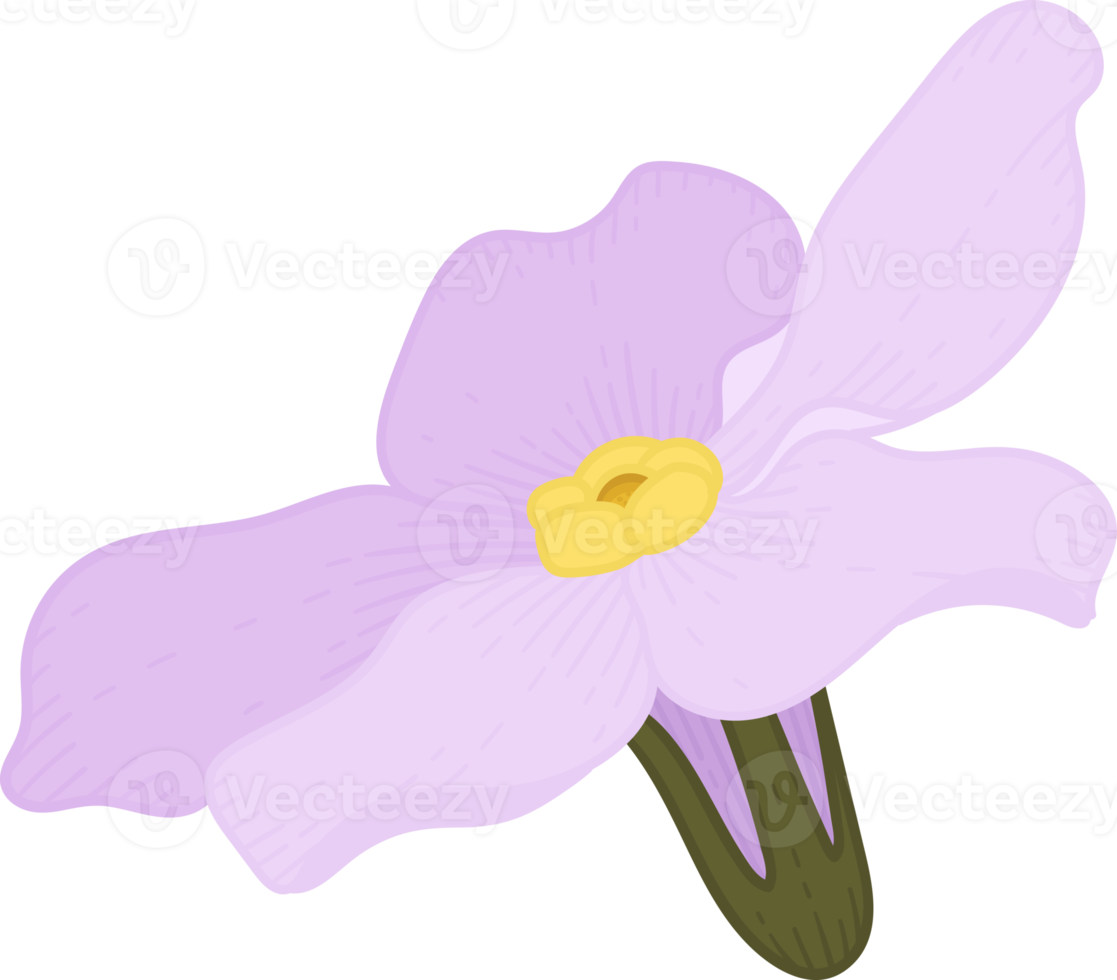 rosa glöm mig inte blomma handritad illustration. png