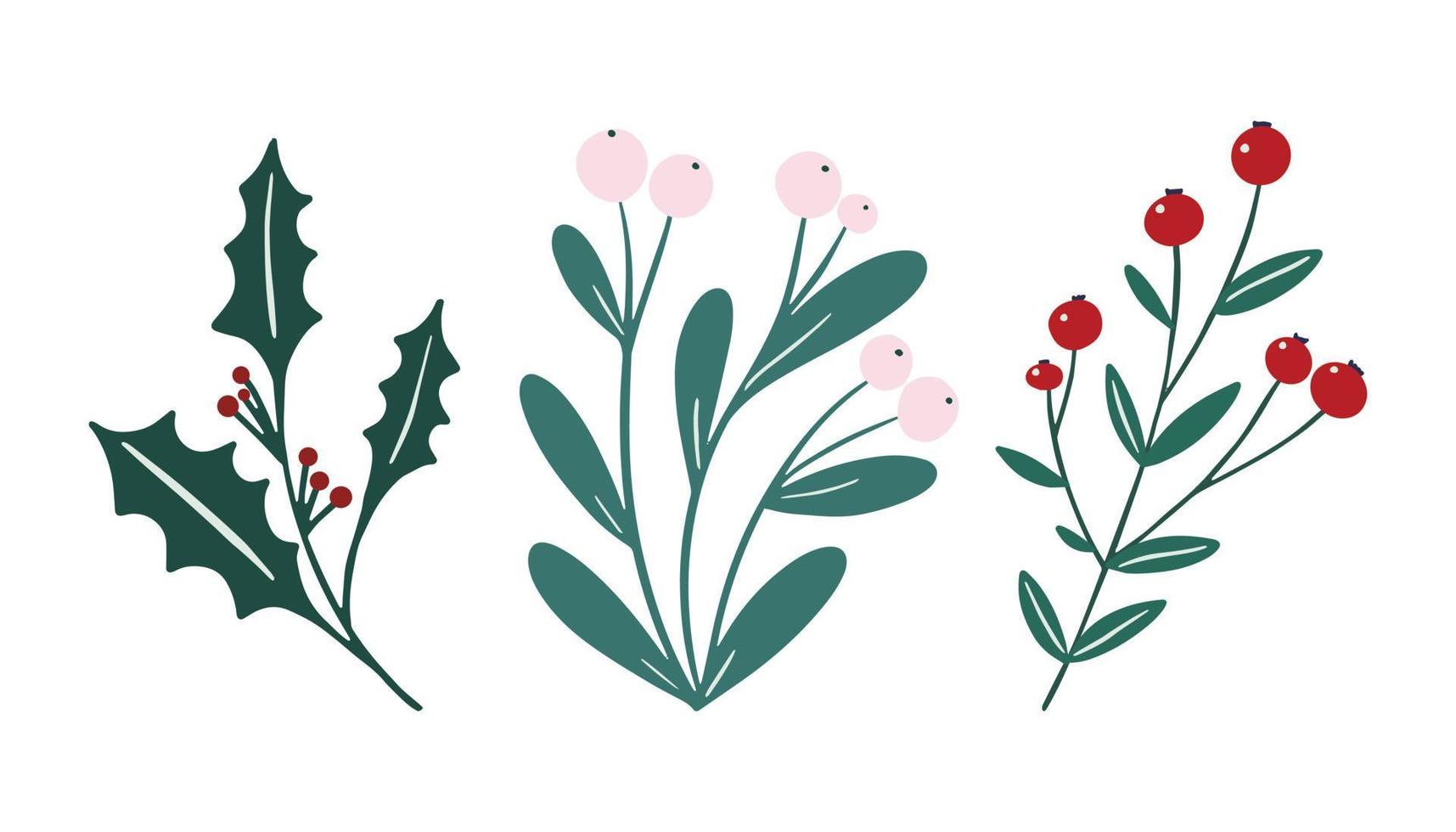 Winter foliage floral elements set white berry mistletoe, holly berry branch. Festive Christmas flowers clip art in simple hand drawn style isolated on white background. Vector illustration collection